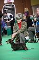 Crufts2011_2 789